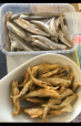Baltic herring | Gallery deep fried smelt 