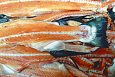Пастеризованный икра лосося  | Галерея  