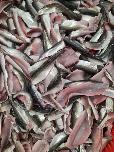Baltic herring fresh fillet Baltic herring fresh fillet | Gallery